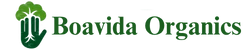 Boavida Horizontal Logo