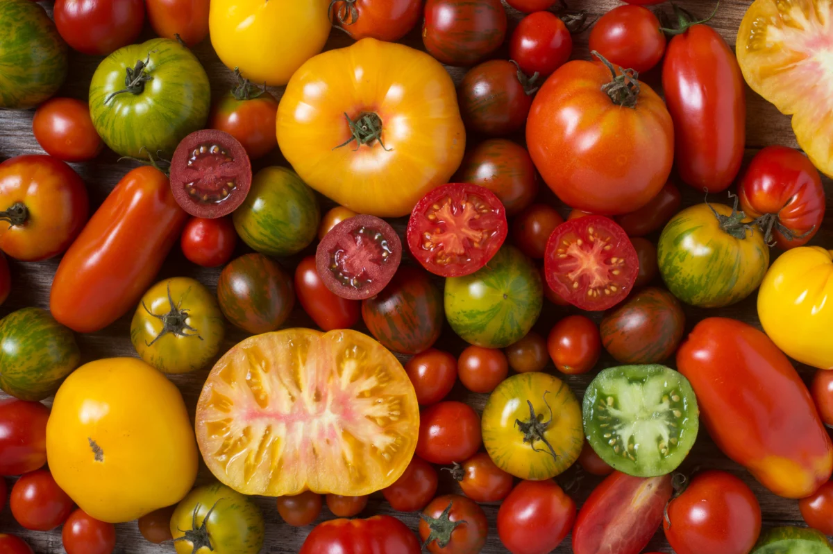 Heirloom tomatoes