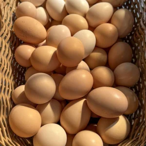 Pasture raised eggs