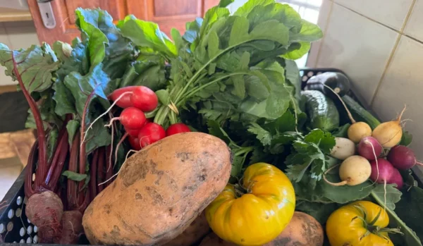 role="presentation" / aria-hidden="true".