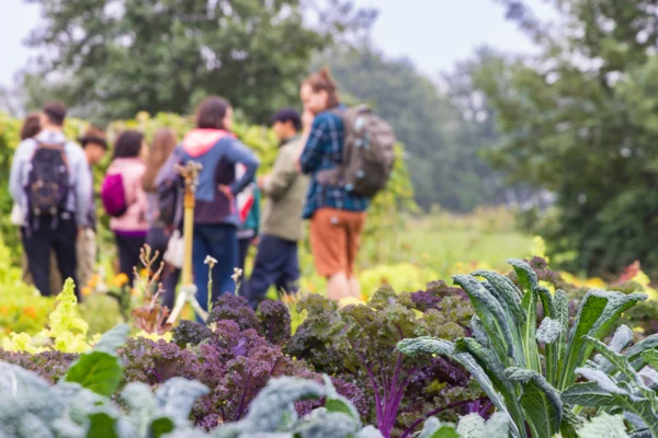 Visitors to the farm